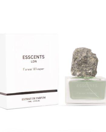Modern Scents We Love: A New Era of Arabic Perfume in the UAE